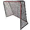 Floorball goals