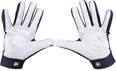 MPS Evo PG goalkeeper gloves