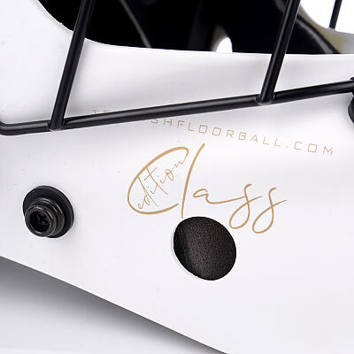 Tempish Class goalkeeper mask