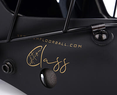 Tempish Class goalkeeper mask
