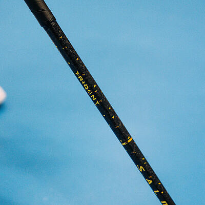 Salming Trident Q-series Carbon Pro 2.0 LTD 27 Black/Gold + free blade