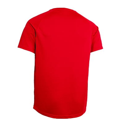 Salming functional T-shirt Training Tee 2.0